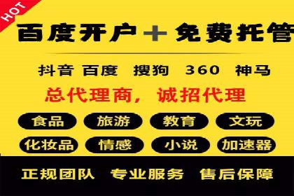 行业标杆：SEM推广代运营成功案例